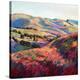 Pasoscapes (right)-Erin Hanson-Stretched Canvas