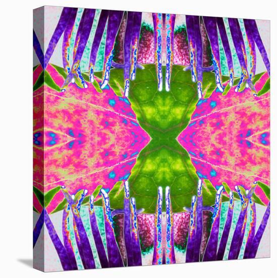 Passion Flower X2-Rose Anne Colavito-Stretched Canvas