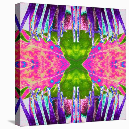 Passion Flower X2-Rose Anne Colavito-Stretched Canvas