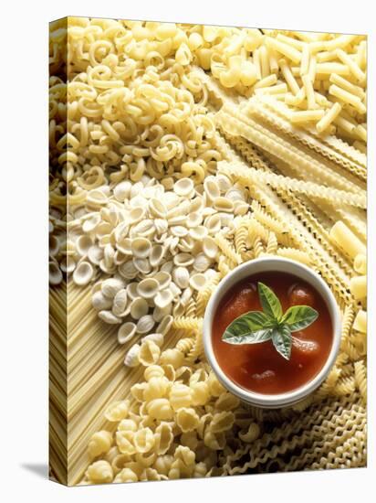 Pasta Still Life with Tomato Sauce-null-Premier Image Canvas