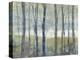 Pastel Birches I-Jennifer Goldberger-Stretched Canvas