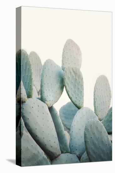 Pastel Cactus-Sisi and Seb-Stretched Canvas