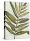 Pastel Frond I-Jennifer Goldberger-Stretched Canvas