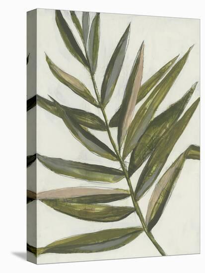 Pastel Frond II-Jennifer Goldberger-Stretched Canvas