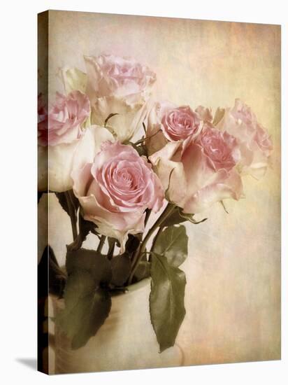 Pastel Roses-Jessica Jenney-Premier Image Canvas