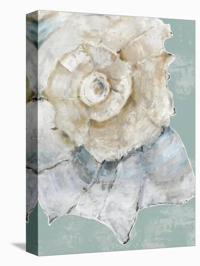 Pastel Shell I-Aimee Wilson-Stretched Canvas