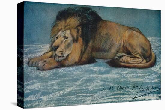 'Pastel Study of a Lion', c1900-John MacAllan Swan-Premier Image Canvas