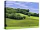 Pastoral Countryside II-Colby Chester-Premier Image Canvas