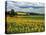 Pastoral Countryside IV-Colby Chester-Premier Image Canvas