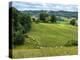 Pastoral Countryside V-Colby Chester-Premier Image Canvas