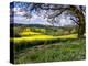 Pastoral Countryside XIV-Colby Chester-Premier Image Canvas