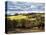 Pastoral Countryside XVIII-Colby Chester-Premier Image Canvas