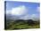 Pastoral Countyside And Hill Farm Near Leean Mountain, County Leitrim. Ireland-null-Premier Image Canvas