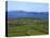 Pastoral Countyside Near Bulls Head Overlooking Dingle Bay And the Distant Ring of Kerry-null-Premier Image Canvas
