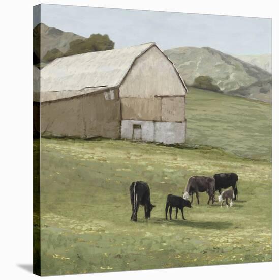 Pastoral - Favourite Field-Mark Chandon-Stretched Canvas