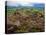 Pastoral Fields from Above Coumshingaun Lake, Comeragh Mountains, County Waterford, Ireland-null-Premier Image Canvas