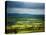 Pastoral Fields, Near Clonea, County Waterford, Ireland-null-Premier Image Canvas