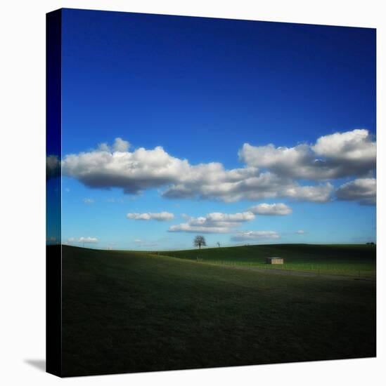 Pastoral Meadow-Philippe Sainte-Laudy-Premier Image Canvas
