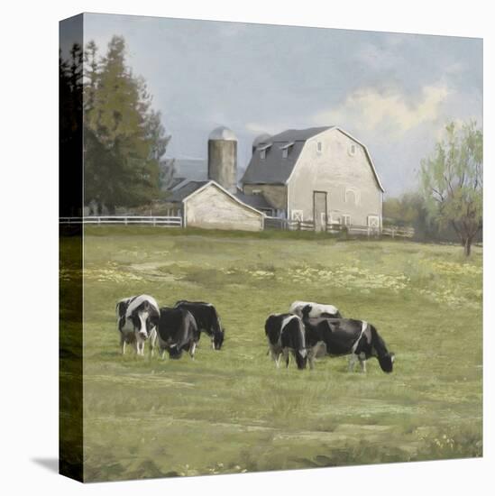 Pastoral - Sweet Meadow-Mark Chandon-Stretched Canvas