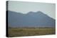 Pasture Land-DLILLC-Premier Image Canvas