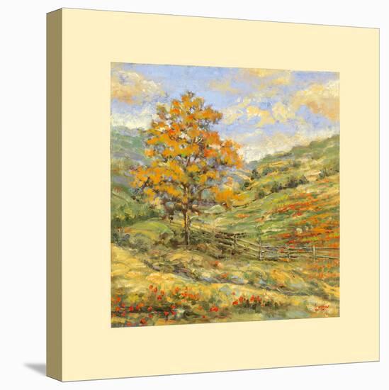 Pastureland II-Longo-Stretched Canvas