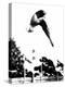 Pat McCormick, First to Win Back-To-Back Olympic Gold Medals in Platform and Springboard Diving-null-Stretched Canvas