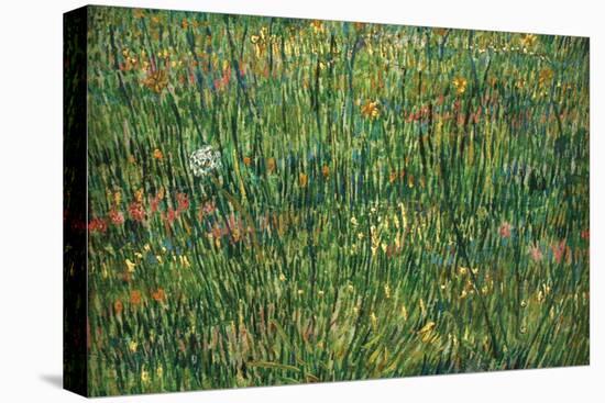Patch of Grass by Van Gogh-Vincent van Gogh-Stretched Canvas