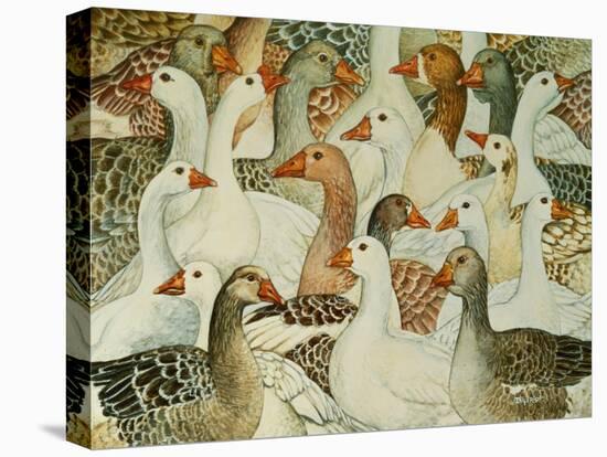 Patchwork Geese-Ditz-Premier Image Canvas