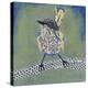 Patchwork Wren I-Grace Popp-Stretched Canvas