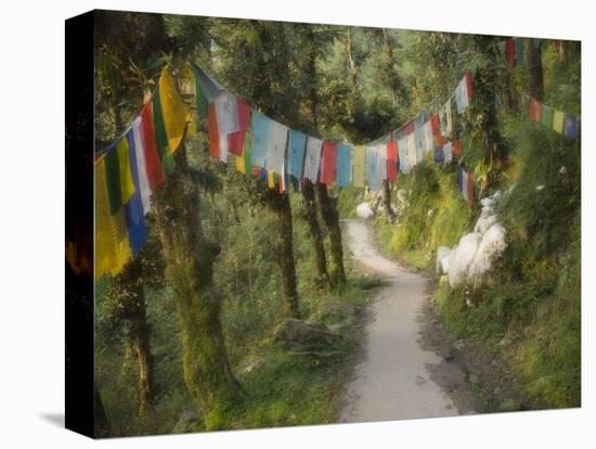 Path and Prayer Flags, Mcleod Ganj, Dharamsala, Himachal Pradesh State, India-Jochen Schlenker-Premier Image Canvas