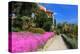 Path at Hanbury Botanic Gardens near Ventimiglia, Province of Imperia, Liguria, Italy-null-Stretched Canvas