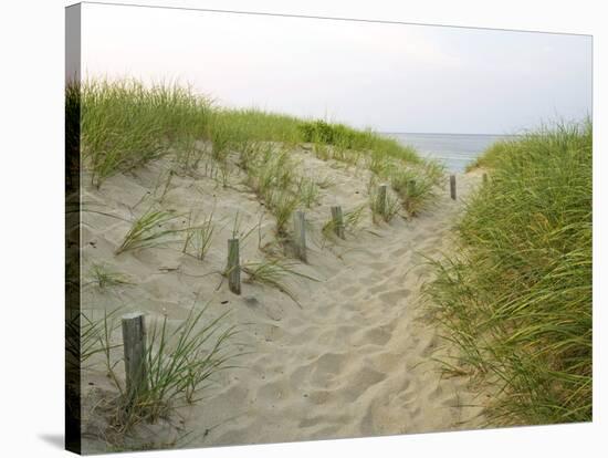 Path at Head of the Meadow Beach, Cape Cod National Seashore, Massachusetts, USA-Jerry & Marcy Monkman-Premier Image Canvas