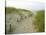 Path at Head of the Meadow Beach, Cape Cod National Seashore, Massachusetts, USA-Jerry & Marcy Monkman-Premier Image Canvas