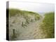 Path at Head of the Meadow Beach, Cape Cod National Seashore, Massachusetts, USA-Jerry & Marcy Monkman-Premier Image Canvas