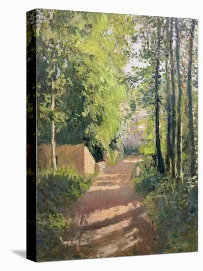 Path in a Wood in Normandy-Gustave Caillebotte-Premier Image Canvas