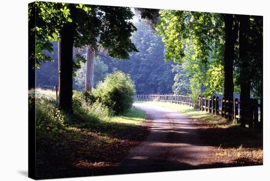 Path Into the Woods, Burgandy, France ‘99-Monte Nagler-Stretched Canvas