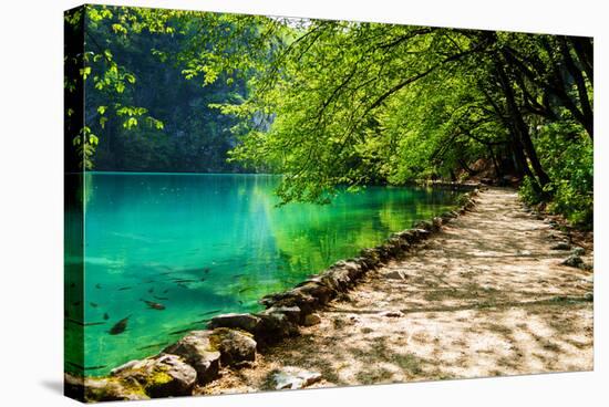 Path near A Forest Lake with Fish in Plitvice Lakes National Park, Croatia-Lamarinx-Premier Image Canvas