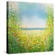 Path of Daisies-Sandy Dooley-Stretched Canvas