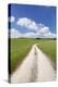 Path Through a Meadow with Cumulus Clouds, Swabian Alb, Baden Wurttemberg, Germany, Europe-Markus Lange-Premier Image Canvas