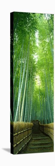 Path Through Bamboo Forest Kyoto Japan-null-Stretched Canvas