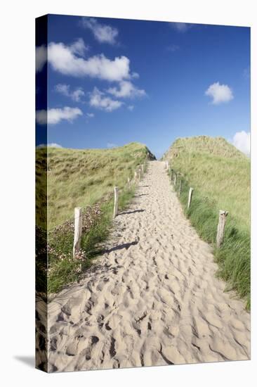 Path Through Dunes, Sylt, North Frisian Islands, Nordfriesland, Schleswig Holstein, Germany, Europe-Markus Lange-Premier Image Canvas