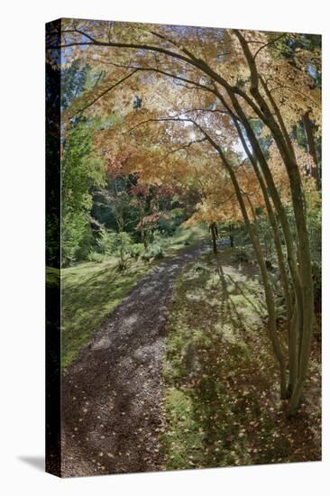 Path Through the Bloedel Reserve, Bainbridge Island, Washington, USA-Jaynes Gallery-Premier Image Canvas