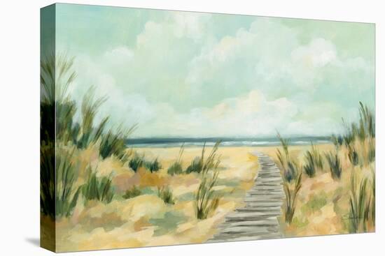 Path Through the Dunes-Silvia Vassileva-Stretched Canvas