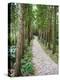 Path Through the Forest at My Son, UNESCO World Heritage Site, Vietnam, Indochina, Southeast Asia-Matthew Williams-Ellis-Premier Image Canvas