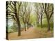 Path Through Tunnel of Trees at Monticello, Virginia, USA-Merrill Images-Premier Image Canvas