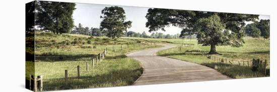 Path to a Perfect Place-Todd McPhetridge-Stretched Canvas