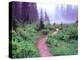 Path to Reflection Lake, Mt. Rainier National Park, Washington, USA-Janell Davidson-Premier Image Canvas