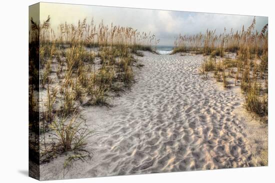 Path to the Beach-Michael Cahill-Stretched Canvas