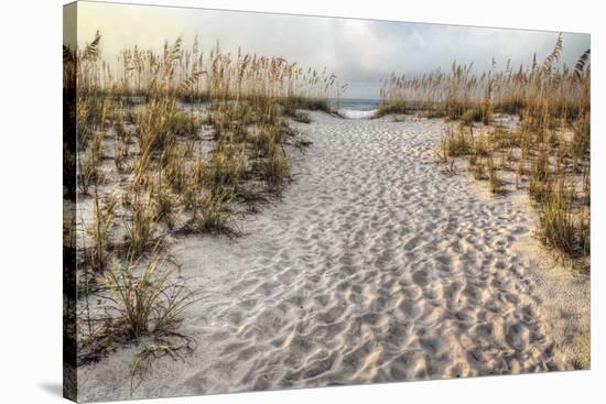 Path to the Beach-Michael Cahill-Stretched Canvas