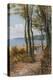 Path to the Shore, Sea View, Isle of Wight-Alfred Robert Quinton-Premier Image Canvas